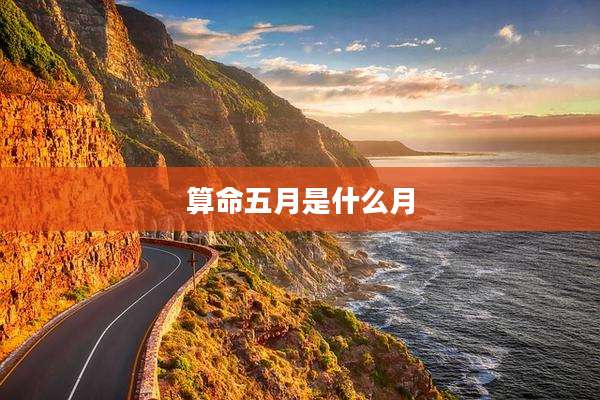 算命五月是什么月