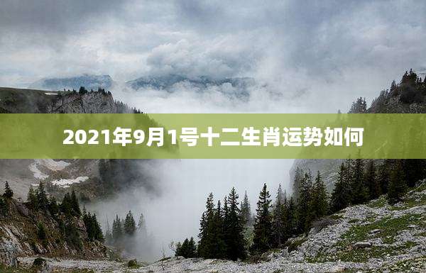 2021年9月1号十二生肖运势如何