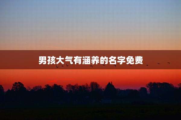男孩大气有涵养的名字免费