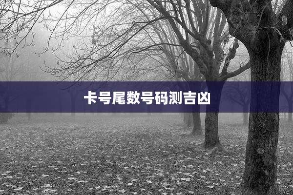 卡号尾数号码测吉凶