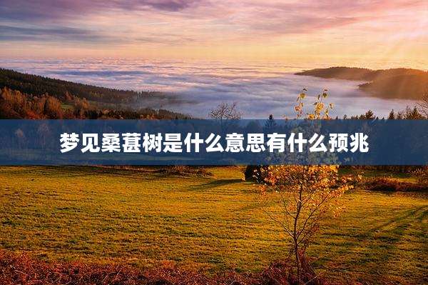 梦见桑葚树是什么意思有什么预兆