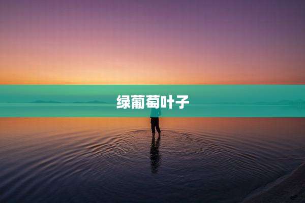 绿葡萄叶子