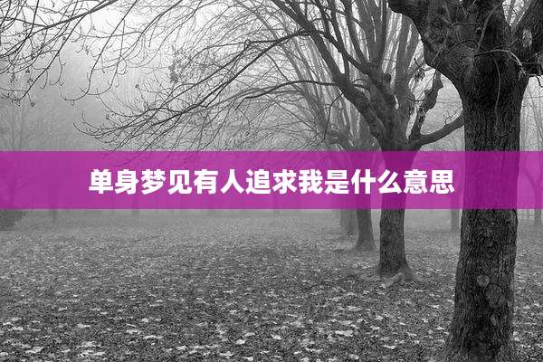 单身梦见有人追求我是什么意思