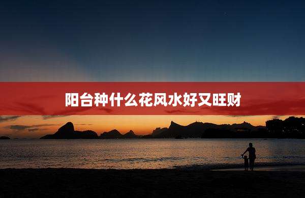 阳台种什么花风水好又旺财