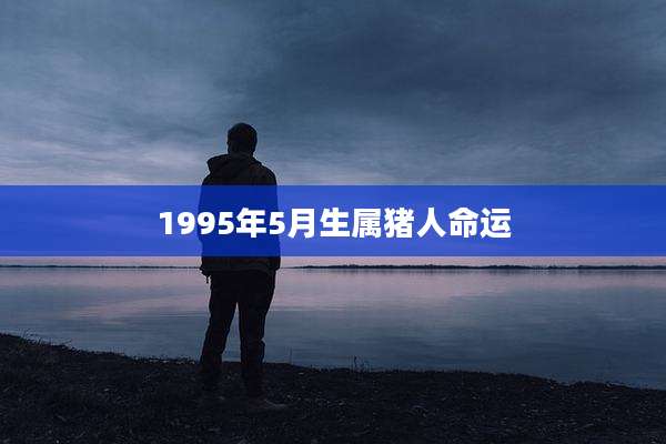 1995年5月生属猪人命运