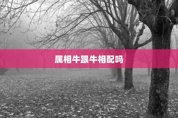 属相牛跟牛相配吗