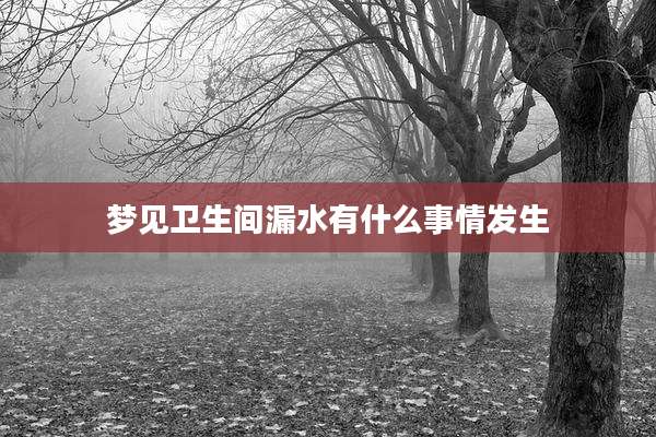 梦见卫生间漏水有什么事情发生