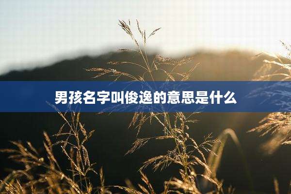 男孩名字叫俊逸的意思是什么