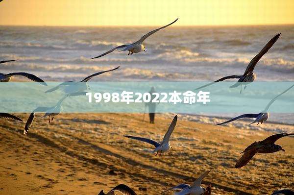 1998年2022本命年