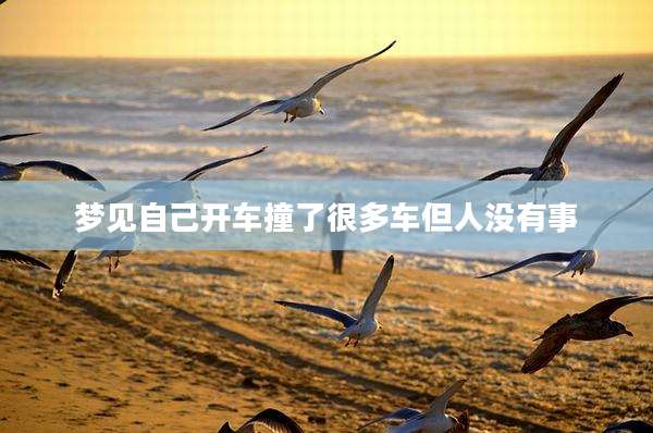 梦见自己开车撞了很多车但人没有事