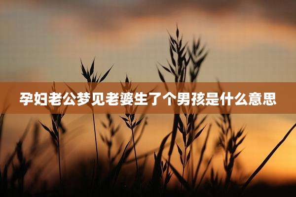 孕妇老公梦见老婆生了个男孩是什么意思