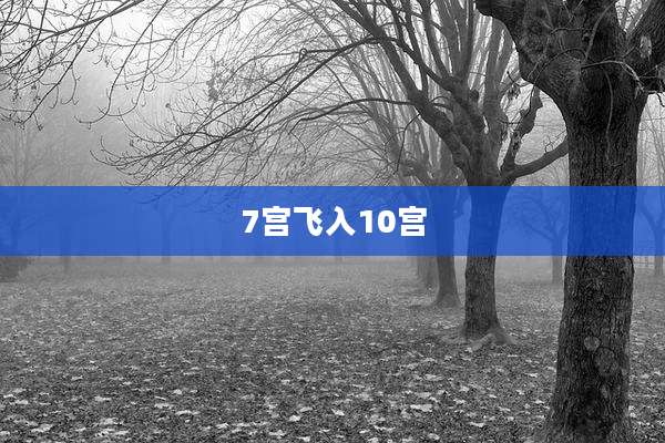 7宫飞入10宫