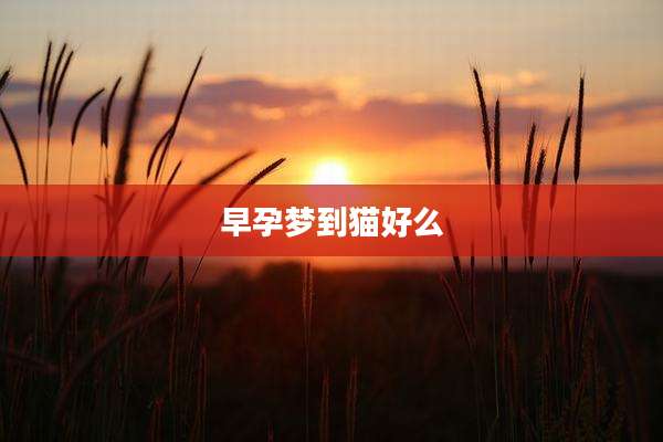 早孕梦到猫好么