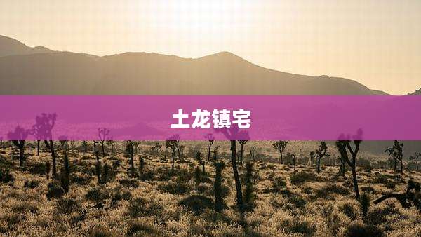 土龙镇宅