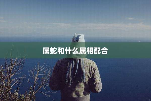属蛇和什么属相配合