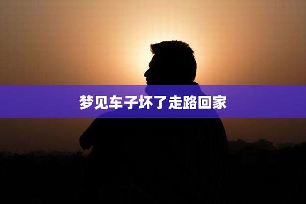 梦见车子坏了走路回家