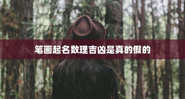 笔画起名数理吉凶是真的假的