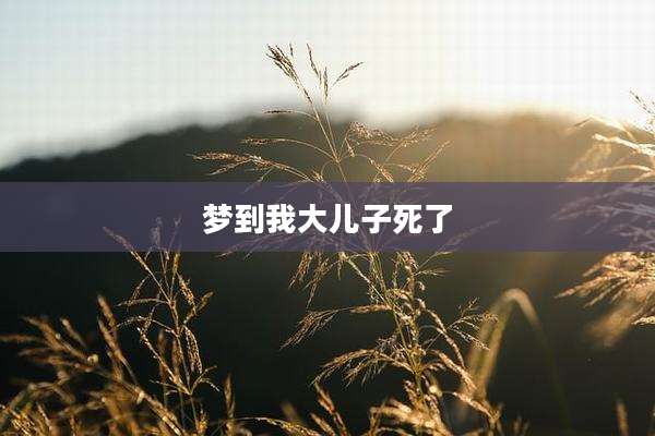 梦到我大儿子死了