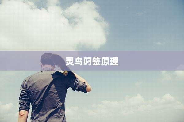 灵鸟叼签原理