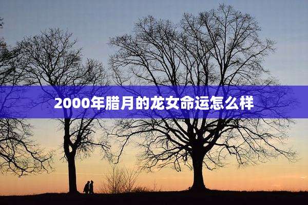 2000年腊月的龙女命运怎么样
