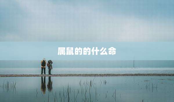 属鼠的的什么命