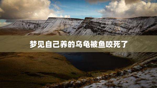 梦见自己养的乌龟被鱼咬死了
