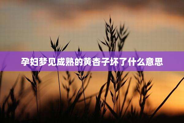 孕妇梦见成熟的黄杏子坏了什么意思