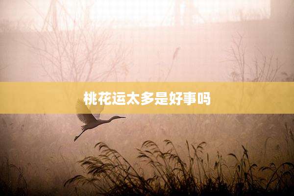 桃花运太多是好事吗