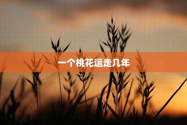 一个桃花运走几年