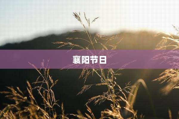 襄阳节日