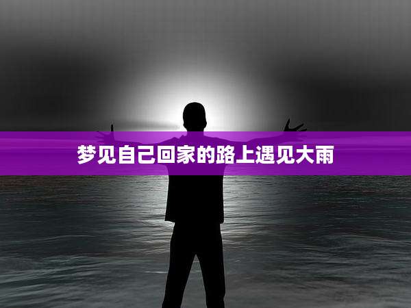 梦见自己回家的路上遇见大雨