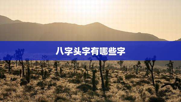八字头字有哪些字