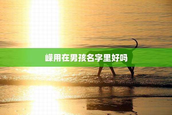 嵘用在男孩名字里好吗