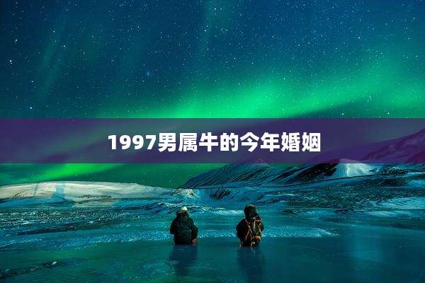 1997男属牛的今年婚姻