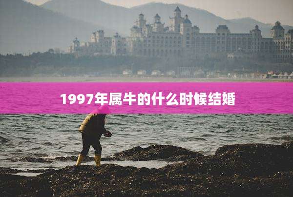 1997年属牛的什么时候结婚