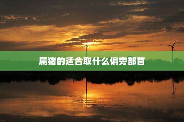 属猪的适合取什么偏旁部首