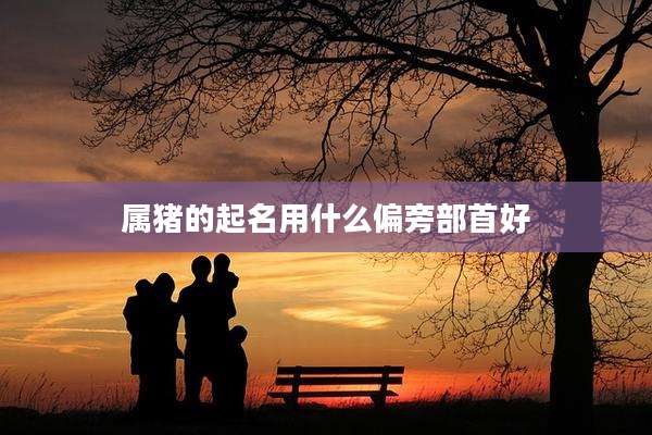 属猪的起名用什么偏旁部首好