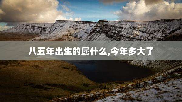八五年出生的属什么,今年多大了