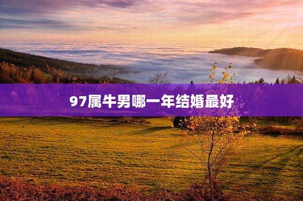 97属牛男哪一年结婚最好
