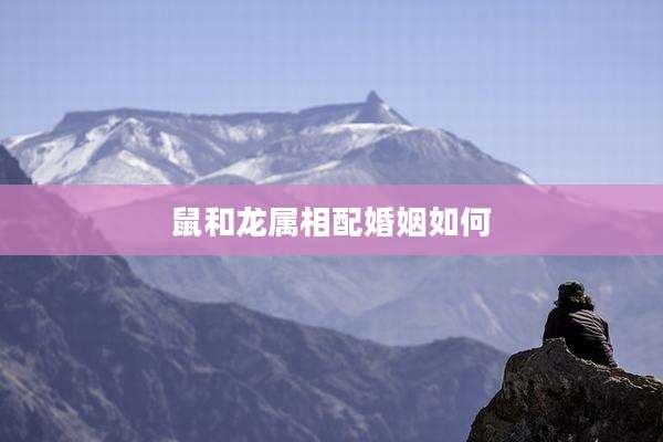 鼠和龙属相配婚姻如何