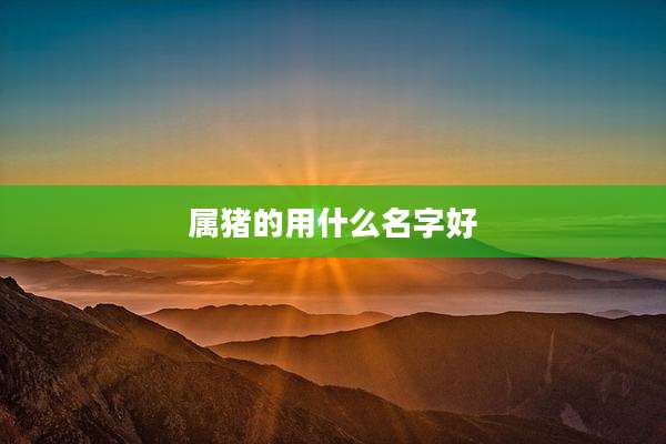 属猪的用什么名字好