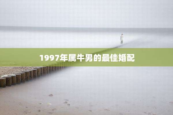 1997年属牛男的最佳婚配