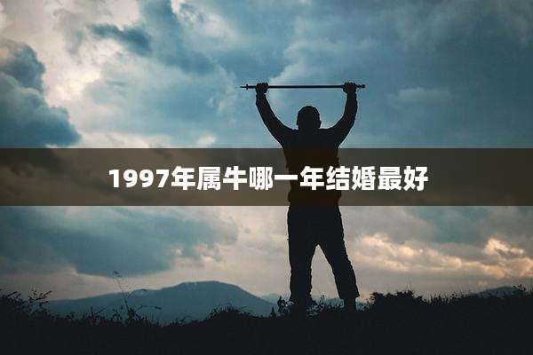 1997年属牛哪一年结婚最好