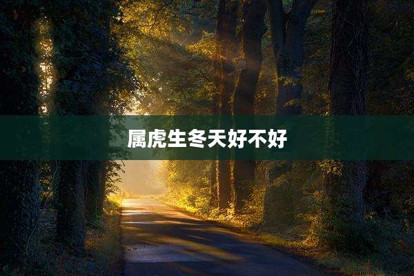 属虎生冬天好不好