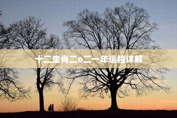 十二生肖二o二一年运程详解