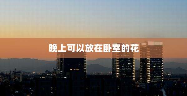 晚上可以放在卧室的花
