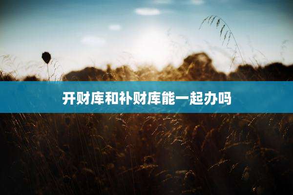 开财库和补财库能一起办吗