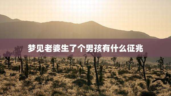 梦见老婆生了个男孩有什么征兆
