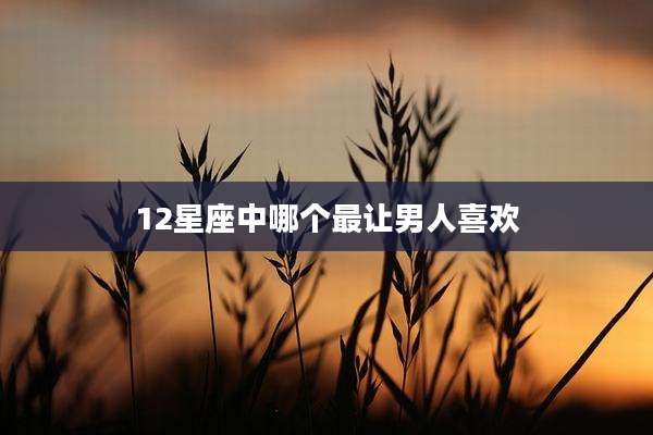 12星座中哪个最让男人喜欢