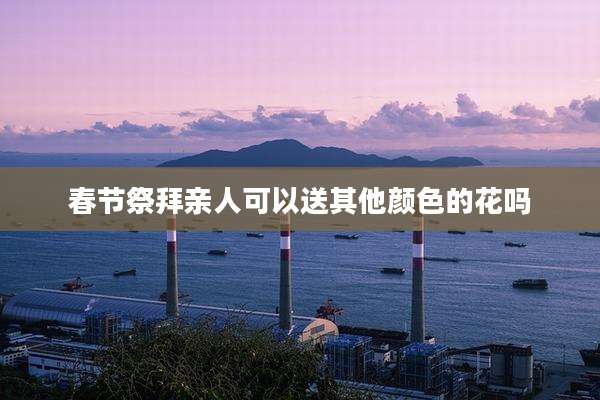 春节祭拜亲人可以送其他颜色的花吗